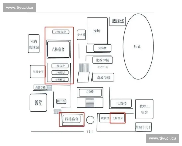 全方位解析体育赛事平台发展趋势与创新技术驱动的未来之路