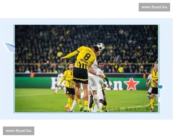 畅享全球体育盛宴精彩赛事实时直播全程追踪